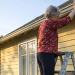 I climbed the ladder to cut the dry branches off the tree, but suddenly my dog ​​started barking incessantly and pulled at my trouser leg. At first, I thought he had gone crazy or was playing and was going to accidentally knock me off the ladder.