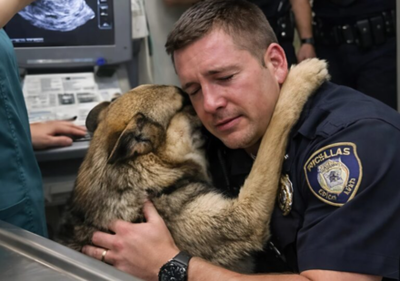 A police officer bent down and hugged his service dog while the veterinarian prepared the final injection. But at the very last moment, the dog did something that sent a chill down the spines of everyone present.