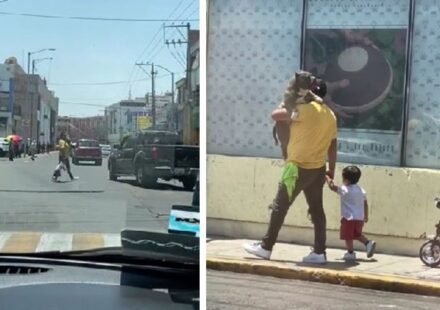 He walks around with his dog in his arms as if he were a child, while his young son walks