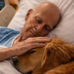 The doctors allowed the dog into the room of a lonely old man and to lie down next to his bed. But that evening, the nurse on duty quietly opened the door to check on the patient – ​​and what she saw horrified her.