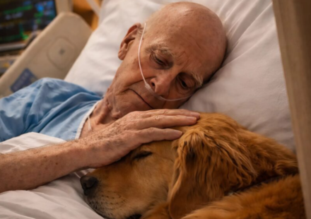 The doctors allowed the dog into the room of a lonely old man and to lie down next to his bed. But that evening, the nurse on duty quietly opened the door to check on the patient – ​​and what she saw horrified her.