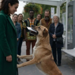 A stray dog ​​handed him an envelope… what happened next left everyone speechless